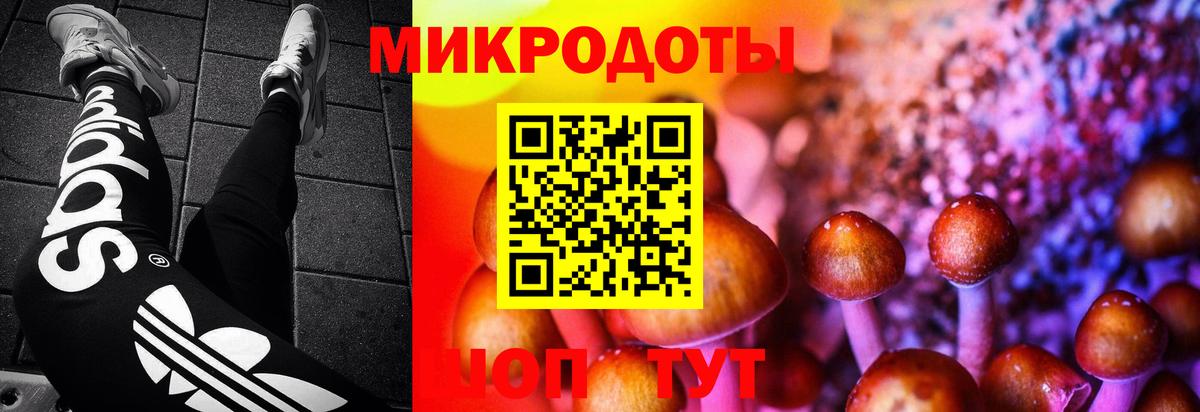Бутурлиновка  Псилоцибиновые грибы Magic Shrooms  Вход с VPN 
